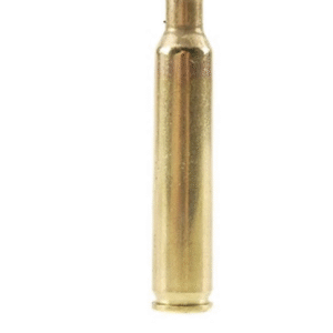 Remington Brass 204 Ruger Bag of 100