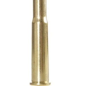 Winchester Brass 30-30 Winchester