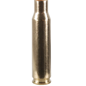 Winchester Brass 308 Winchester